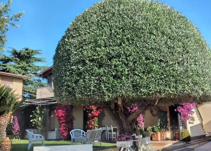 Alojamento de Acomodação e Pequeno-almoço Adry Roma